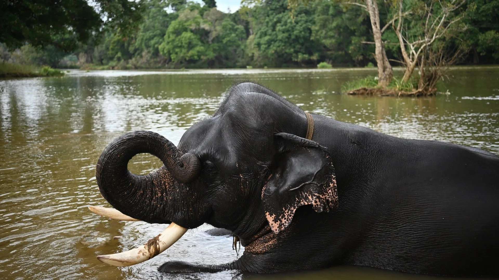 Coorg